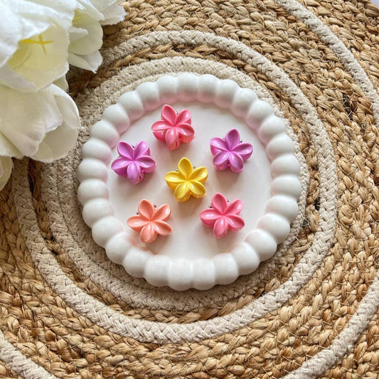 Mini Daisy Claw/Clutcher Pop-up colour #HeartFlowerClaw #HeartFlowerClip #tivra #tivracreatio#HeartFlowerHairClip #FlowerClawClip #FlowerHairClaw #HeartClawClip #HeartHairClip #FlowerClutcher #HairClawClip #HairAccessories 